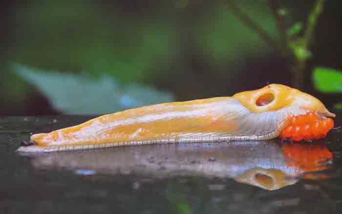 See the Bigger Picture Exhibit