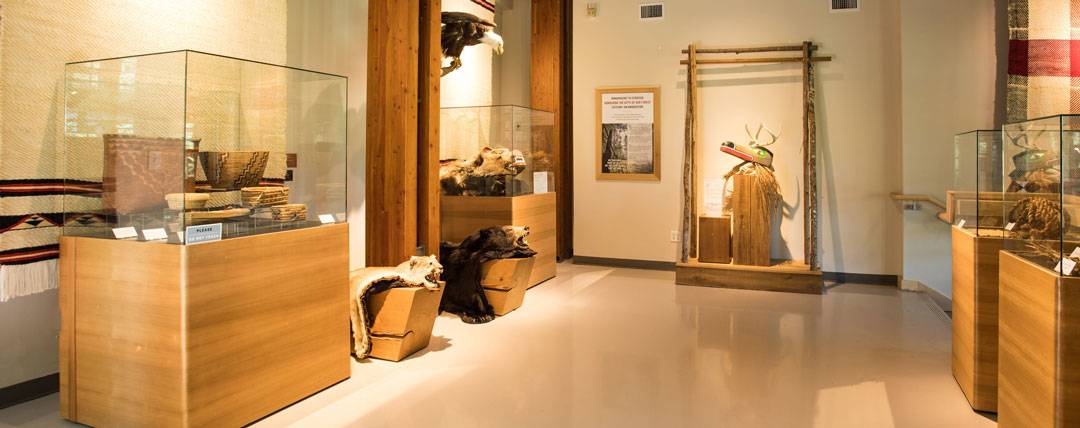 Honouring the gifts of our forest Exhibit