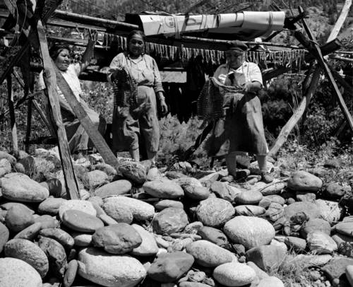 Image I-29073 courtesy of the Royal BC Museum and Archives Lil’wat women drying salmon (year unknown).