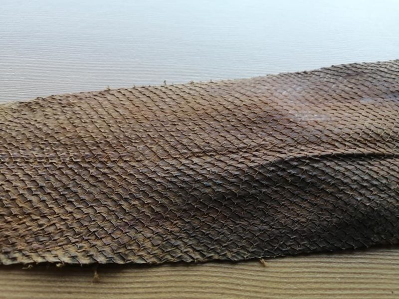 Indigenous Youth Revitalize Traditional Fish Skin Leather Technique ...