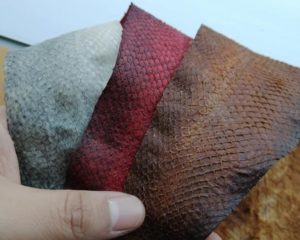 Rainbow Fish leather