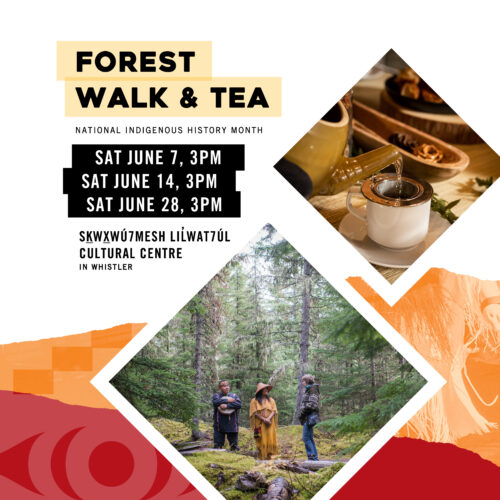 Nourish Whistler Forest Walk and Tea