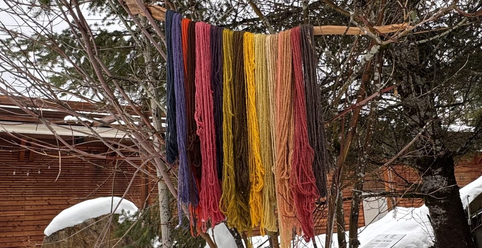 Natural Wool Dyeing Workshop