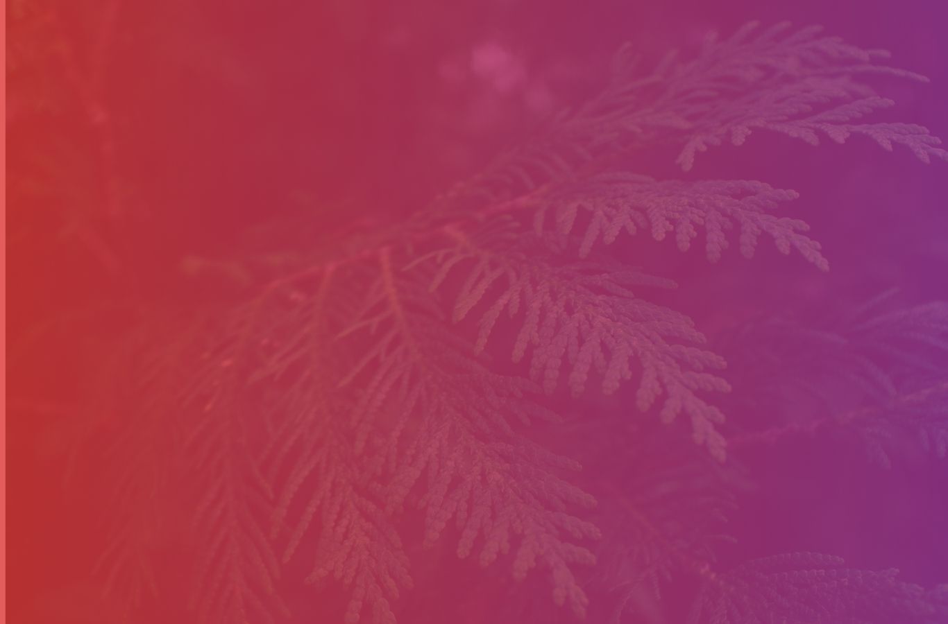 GIFT SHOP EVENT FEB 1366 x 1000 px