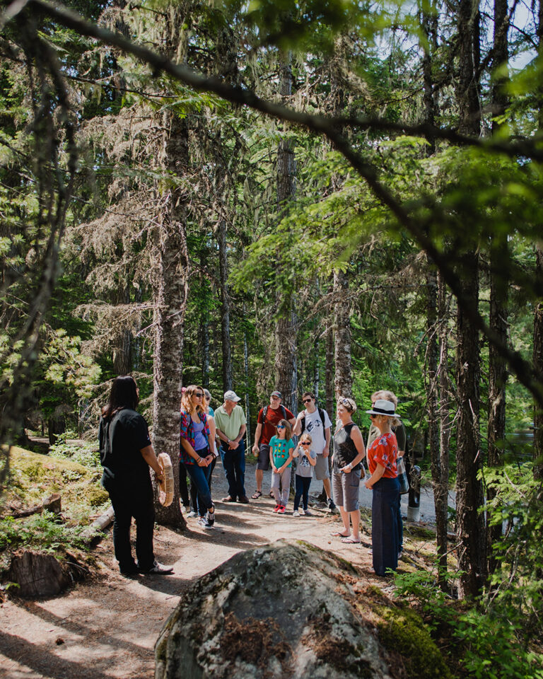SLCC Forest Walk